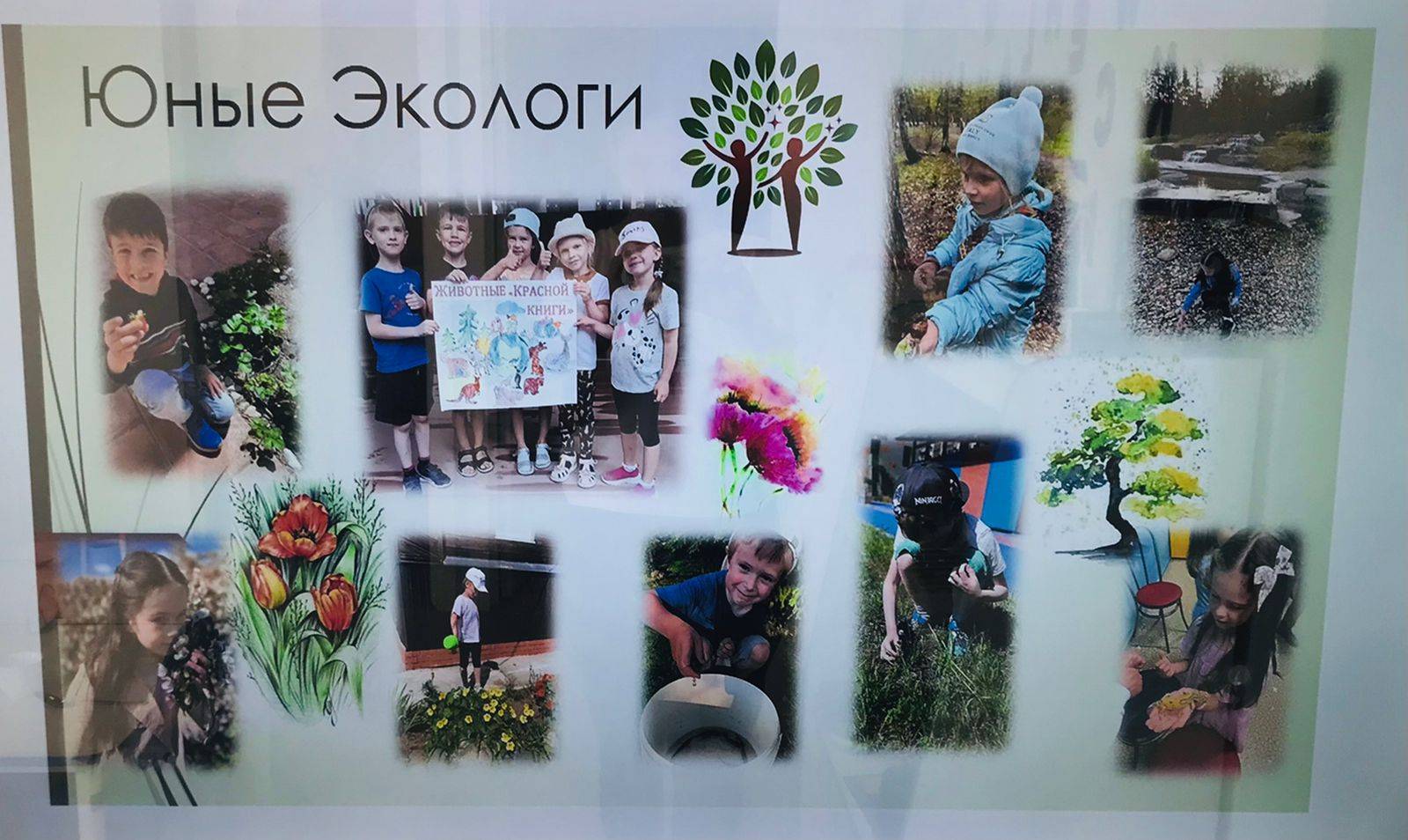 Юный эколог