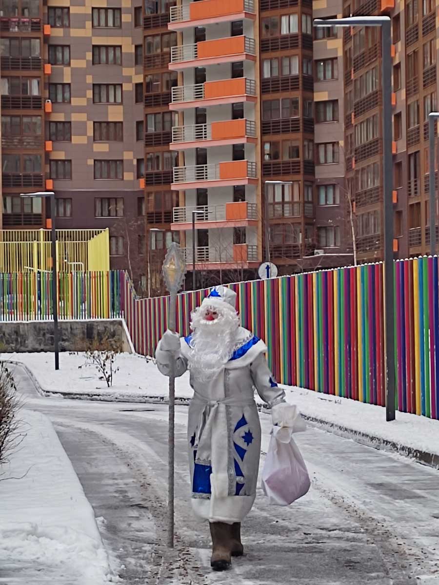 Лесные жители готовятся к зиме. Перелетные птицы. День рождения Деда Мороза.